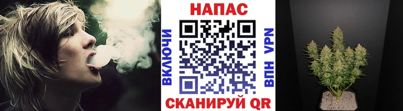 Каннабис OG Kush  Купить  Петухово 